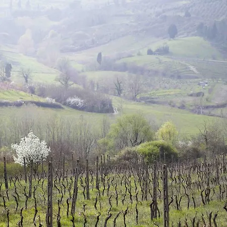 Alloggio per agriturismo Agriturismo Tenuta Serravalle Peccioli
